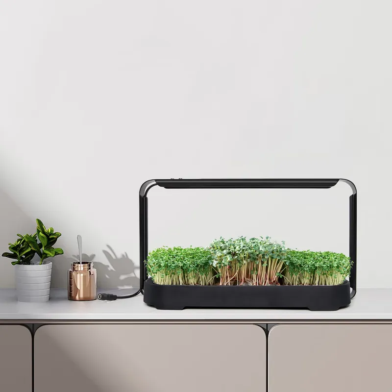 Self Watering Planter - Sistema di coltivazione idroponica per microgreens