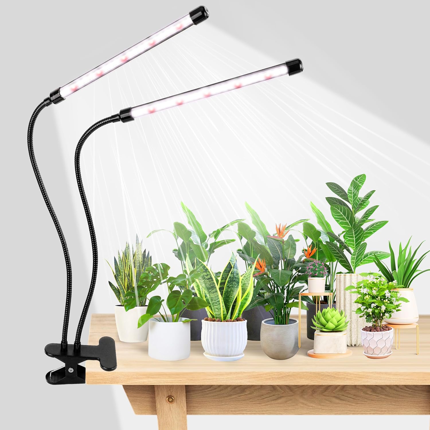 Hydroponic Grow Pod - KEBINCPLED Luce LED per la Crescita