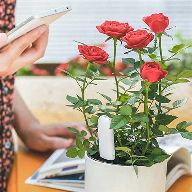 Plant Sensor - ABVG-Flora Monitor Intelligente per Fiori, Cura