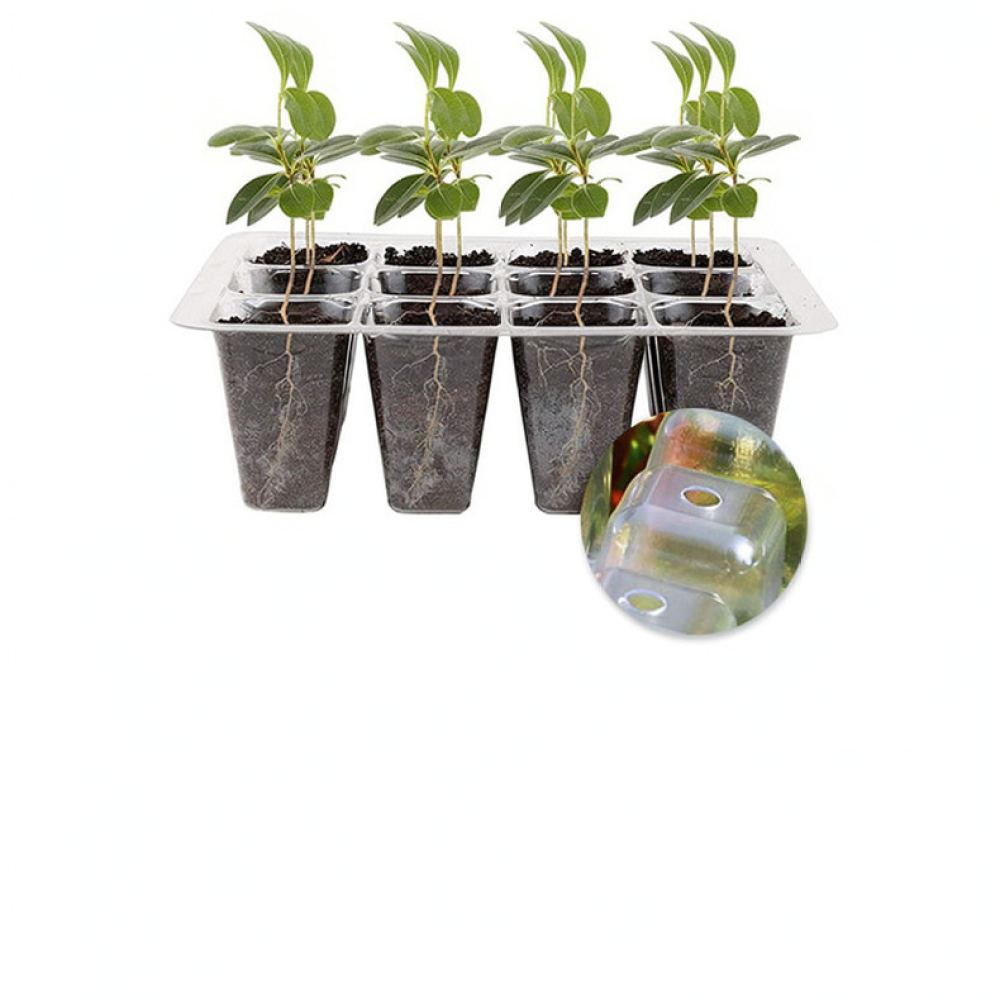 Indoor Garden Kit - Kit di inizio per la coltivazione