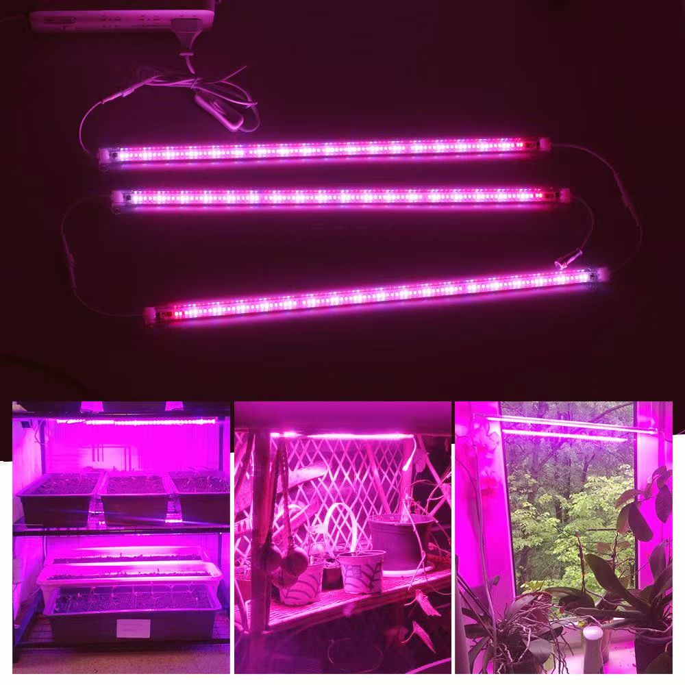 Plant Grow Light Full Spectrum - Strisce LED da 12 Pollici per