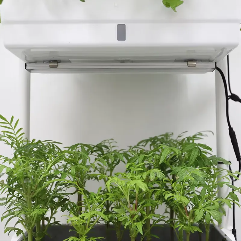 Sistema di Coltivazione Vertic - Self Watering Planter recensione e prezzo