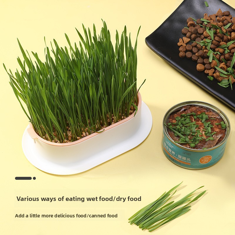 Forniture per animali domestic - Hydroponic Grow Pod recensione e prezzo