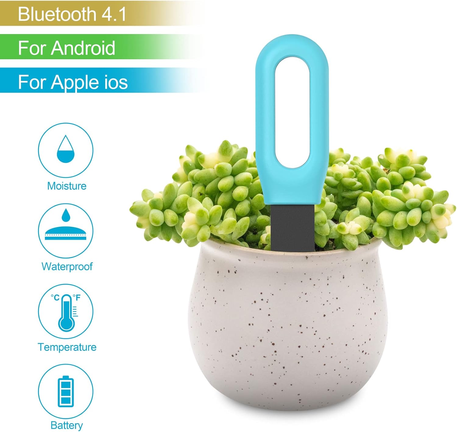 Tester Intelligente per Terren - Plant Monitor recensione e prezzo