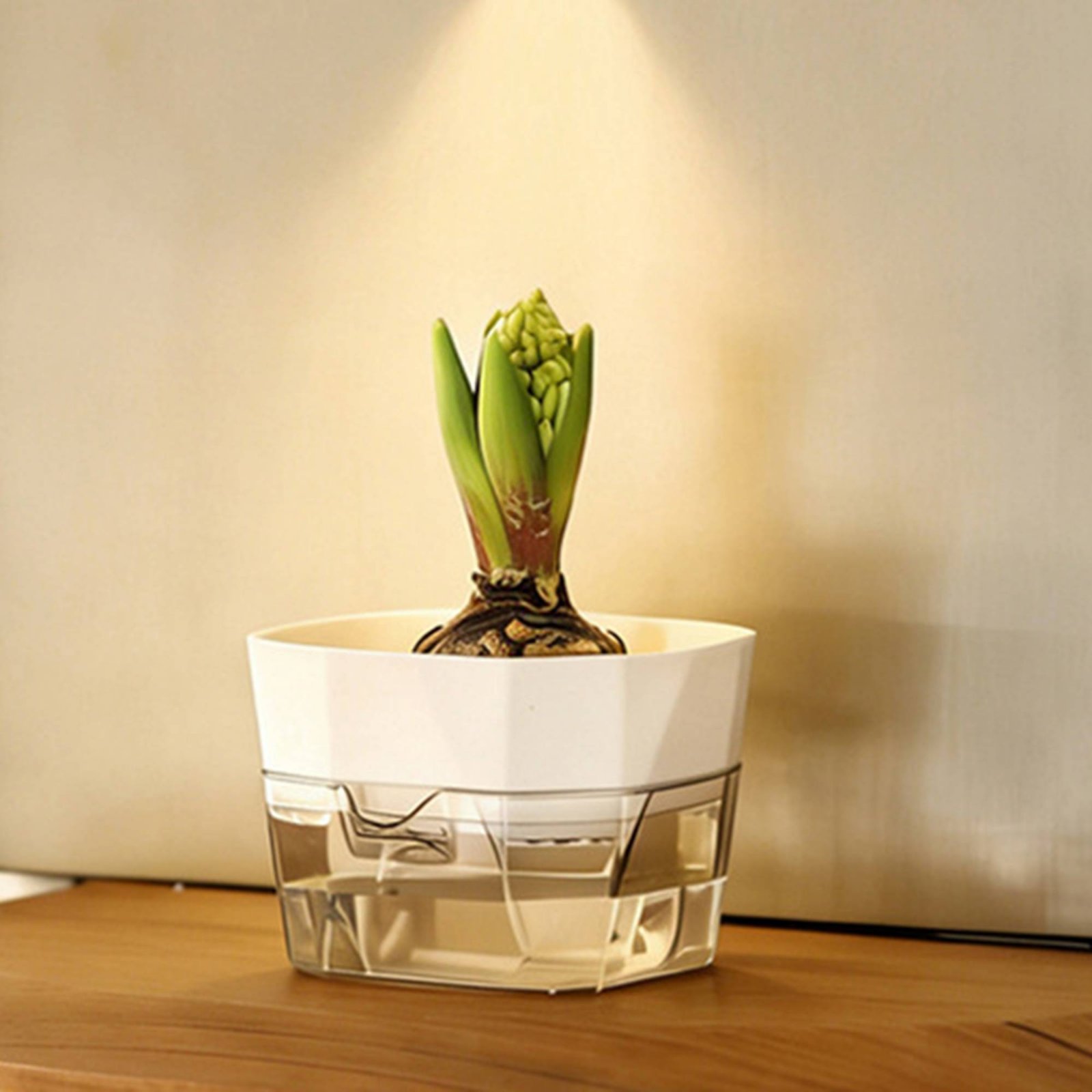 Vaso Idroponico a 2 Livelli pe - Automatic Watering recensione e prezzo