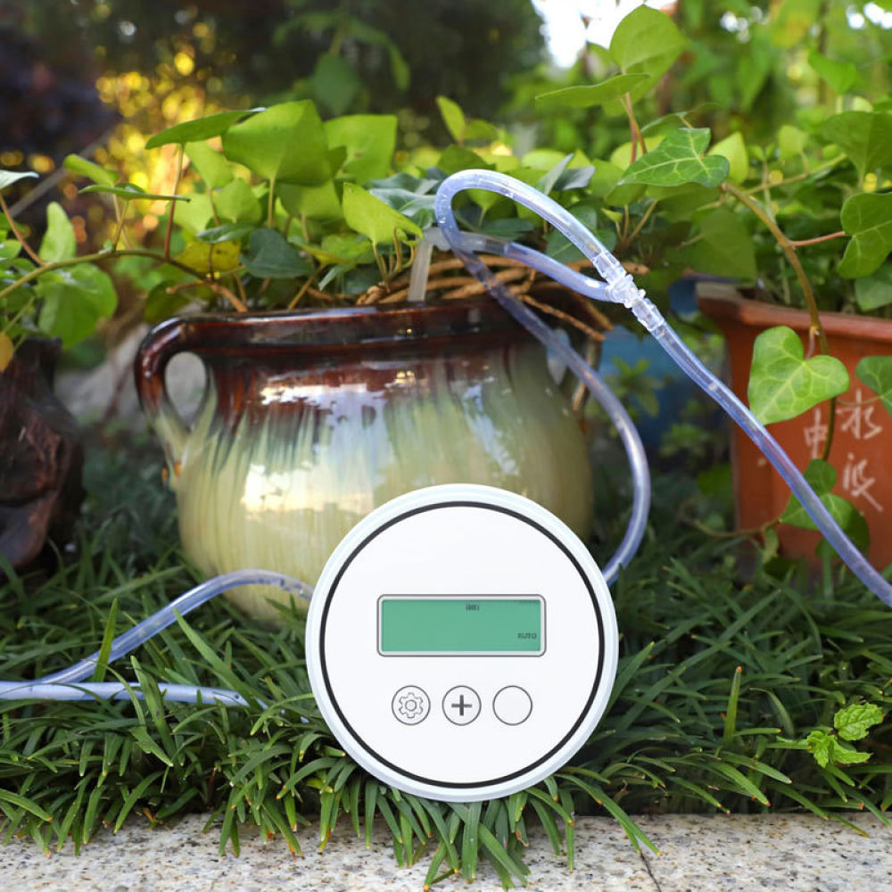 Strumento per irrigazione auto - Smart Pot recensione e prezzo