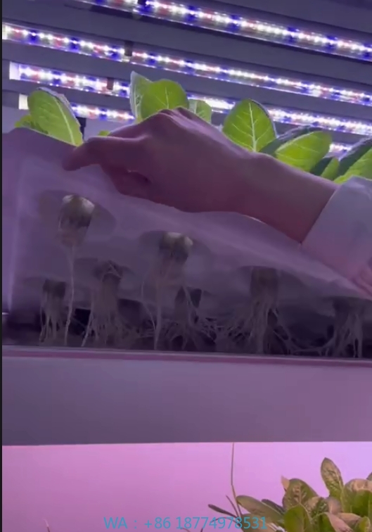 f Attrezzature agricole per se - Hydroponic Tower recensione e prezzo