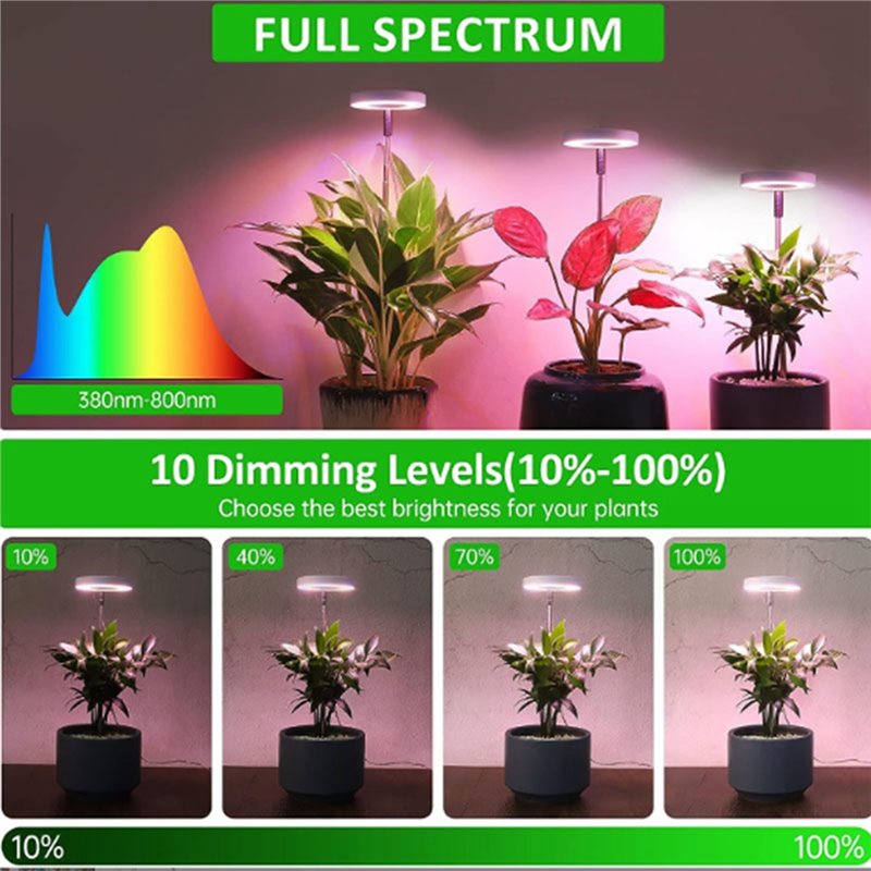 Lampada LED per la coltivazion - Plant Grow Light Full Spectrum recensione e prezzo