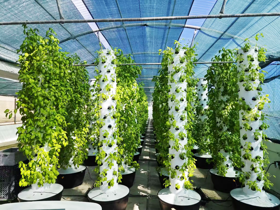 Sistema di Coltivazione Idropo - Hydroponic Tower recensione e prezzo