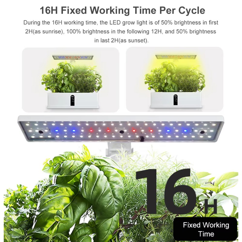 Sistema di Coltivazione Idropo - Indoor Garden Kit recensione e prezzo