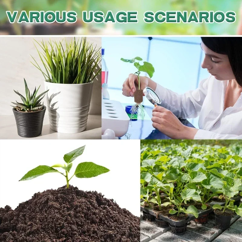 Kit di Spugne per Germinazione - Indoor Garden Kit recensione e prezzo