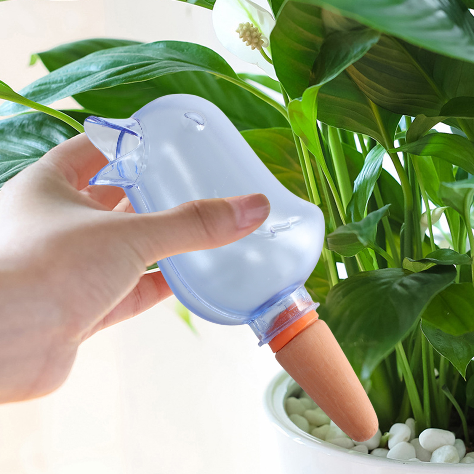 Sistema automatico di irrigazi - Plant Sensor recensione e prezzo