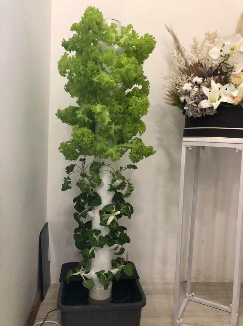 Torre di Coltivazione Idroponi - Hydroponic Tower recensione e prezzo