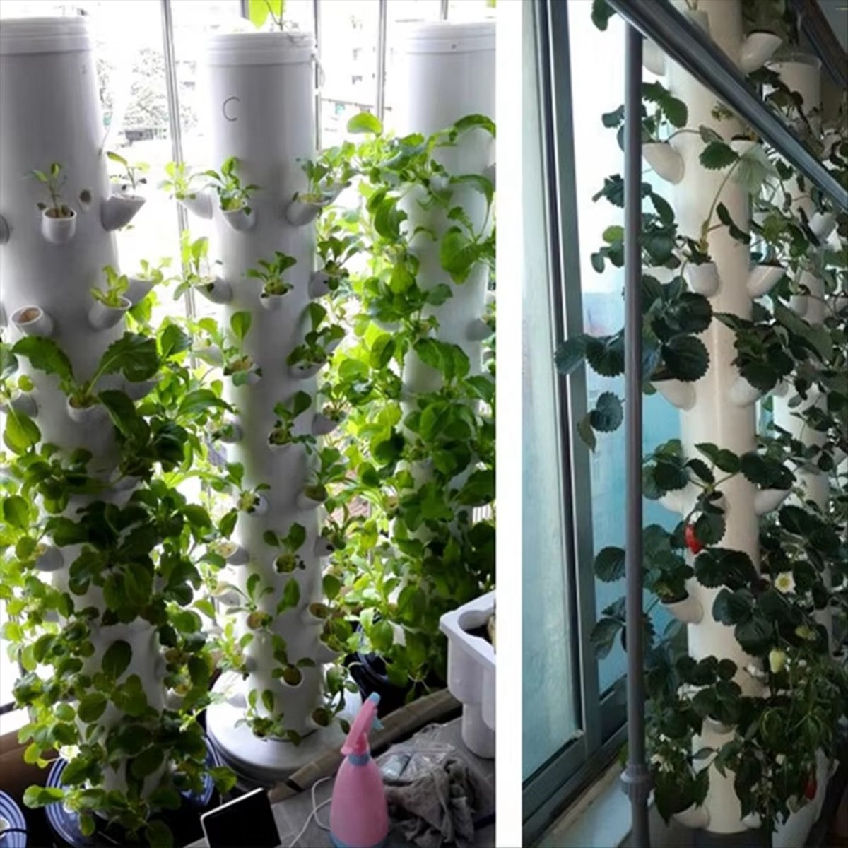Contenitore Verticale Idroponi - Hydroponic Tower recensione e prezzo
