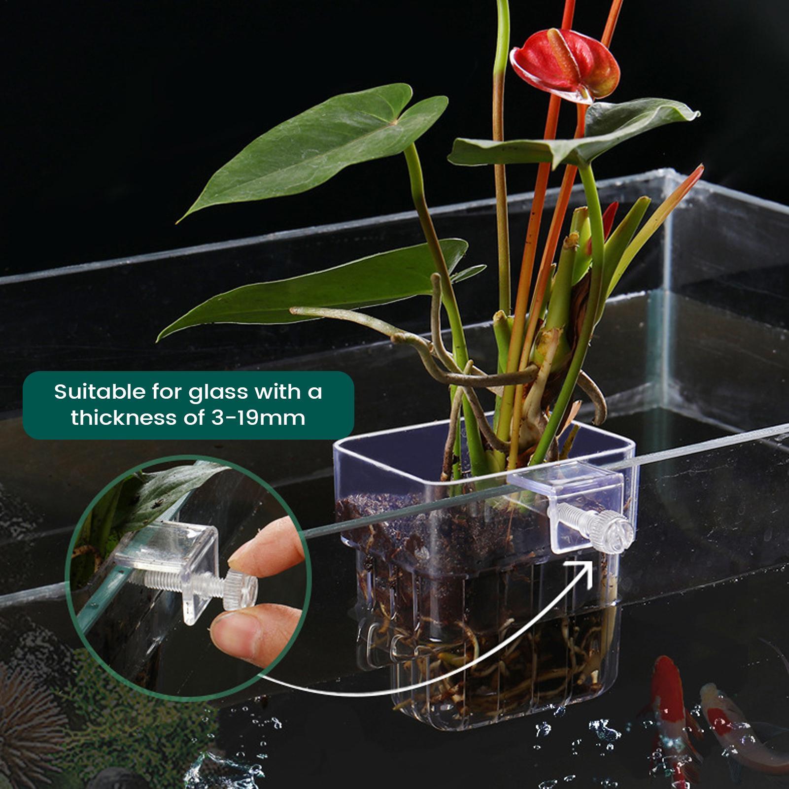 Supporto per piante acquatiche - Hydroponic Grow Pod recensione e prezzo