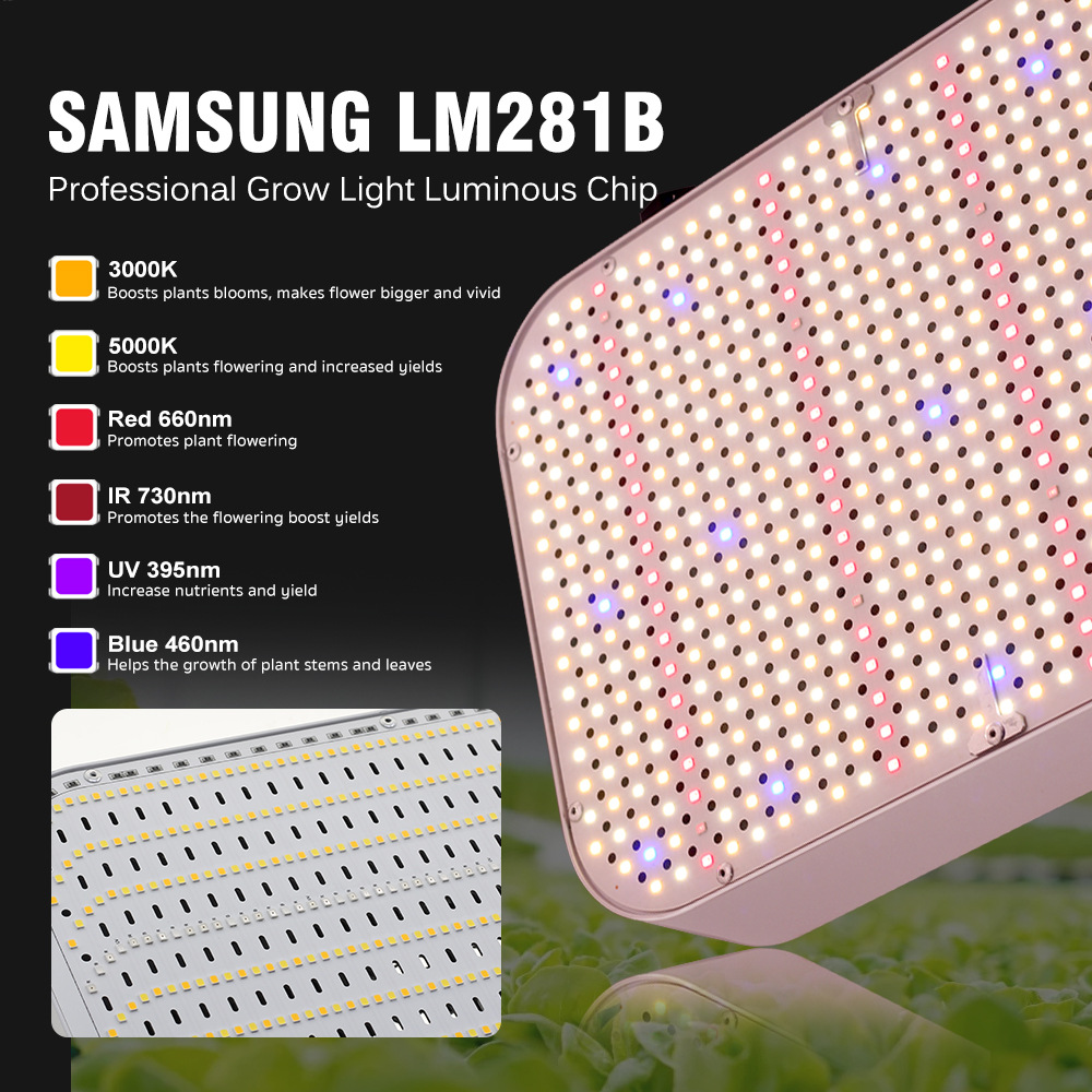 Lampada LED a Spettro Completo - Grow Light Led recensione e prezzo